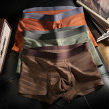 Conjunto de Boxer Briefs de Malla Vantage