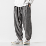 Joggers de Pana Noah