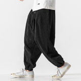 Joggers de Pana Noah