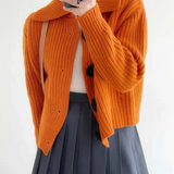 Cardigan Declaración Viena