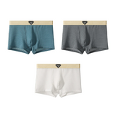 Conjunto de Boxers de Seda Flex