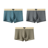 Conjunto de Boxers de Seda Flex