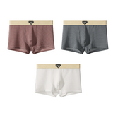 Conjunto de Boxers de Seda Flex
